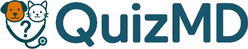 QuizMD Logo